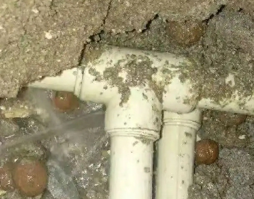 丹凤测漏水多少钱