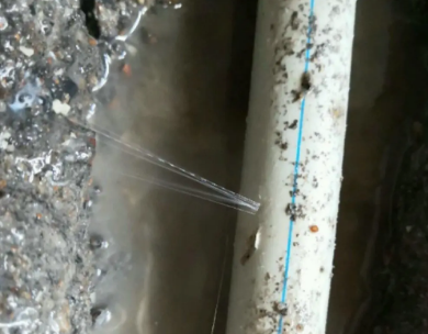 丹凤测漏水哪家好