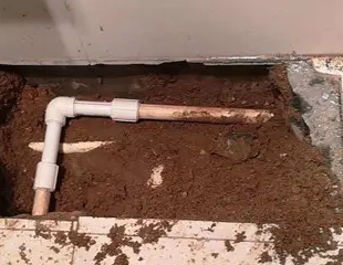 丹凤测漏水哪家好