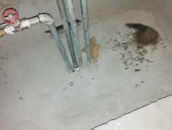 丹凤卫生间测漏水价格明细