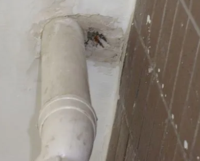 丹凤漏水检测哪家好